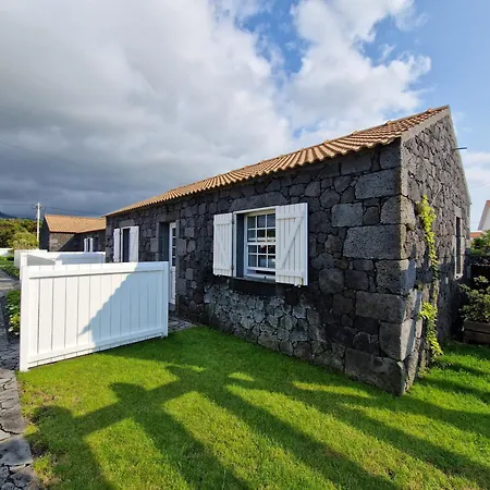 As Casas Da Vinha Dom wakacyjny Criacao Velha