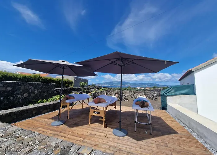 度假居 As Casas Da Vinha Criacao Velha